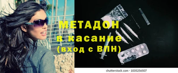 гашик Алексин