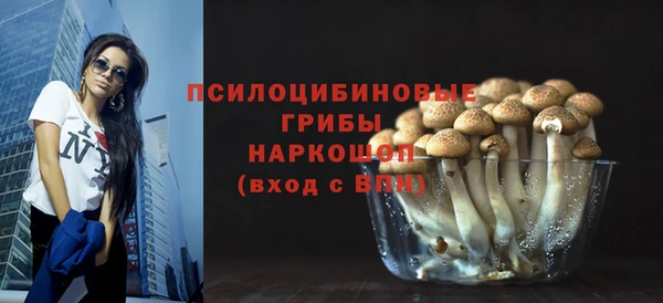 МДПВ Алексеевка