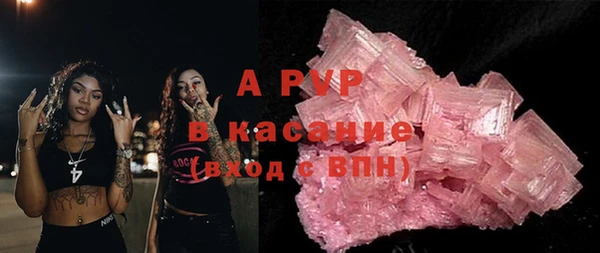 гашик Алексин