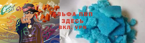 гашик Алексин