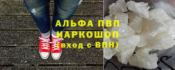 гашик Алексин