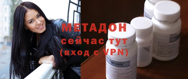 гашик Алексин