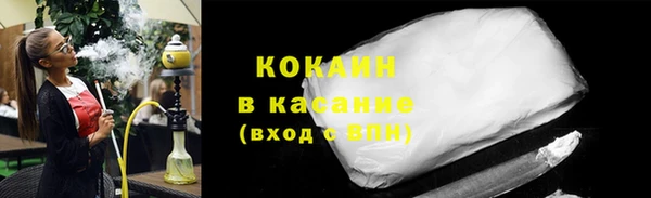гашик Алексин