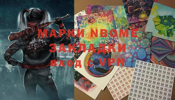 гашик Алексин