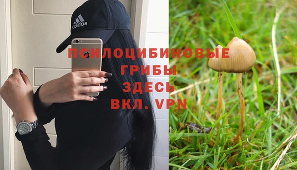 a pvp Алзамай
