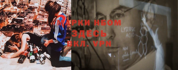 гашик Алексин