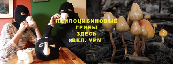 МДПВ Алексеевка
